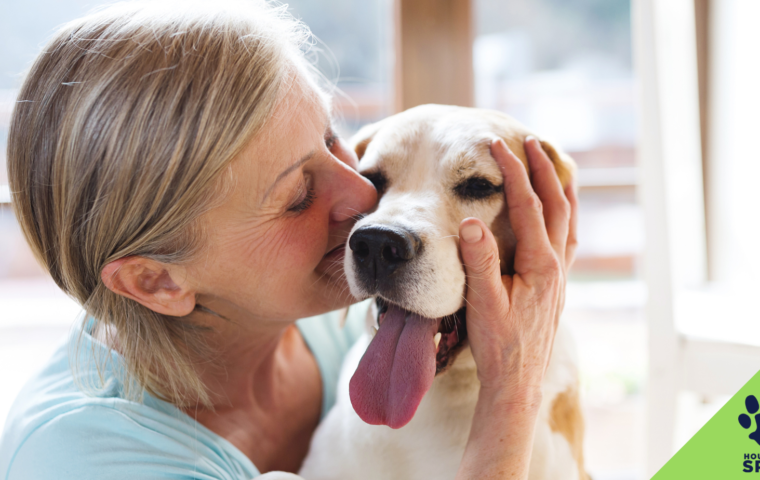 La subvención Pets for the Elderly envía a casa más de 100 mascotas en 2021