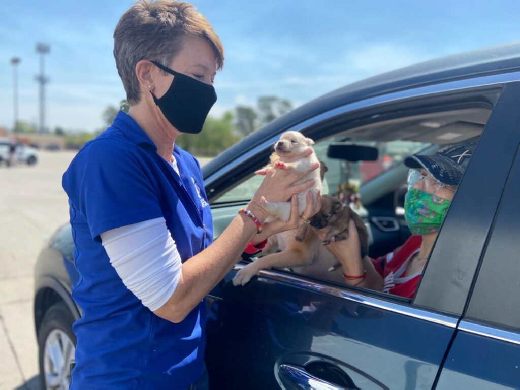 A Houston SPCA employee greets a puppy and his owner through a car window at a community event.