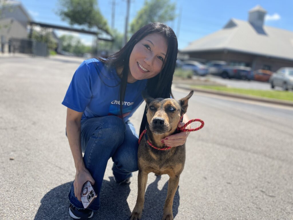 A Chevron employee on a corporate volunteer day poses, smiling with her arm around a cattledog.
