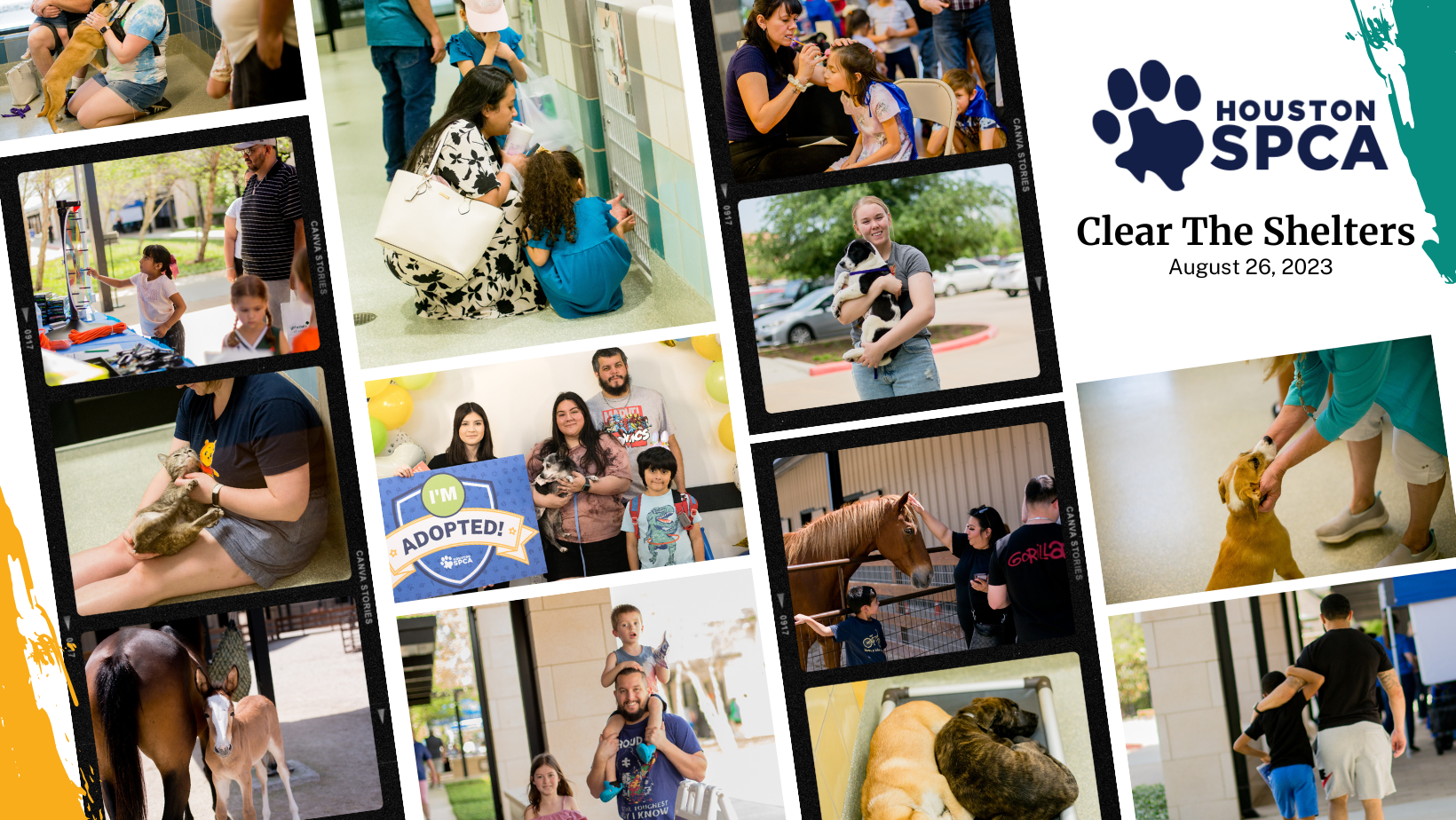 Houston SPCA connects pets with loving homes during PetSmart Charities  National Adoption Week - Houston SPCA