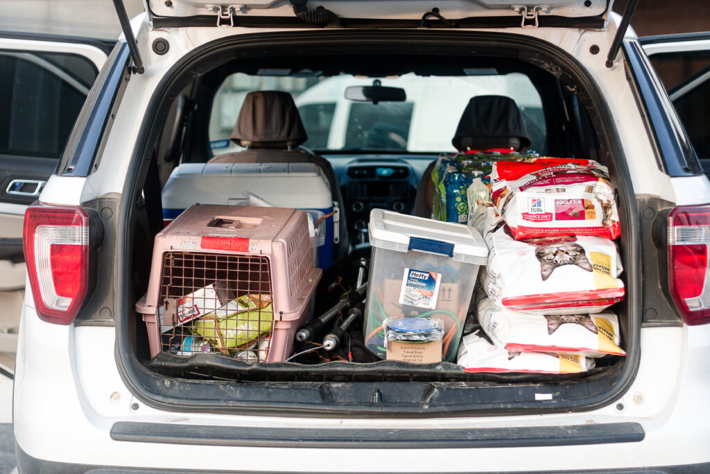 A white SUV with the hatch open shows a trunk full of a travel kennel, storage bins full of supplies, and pet food bags.