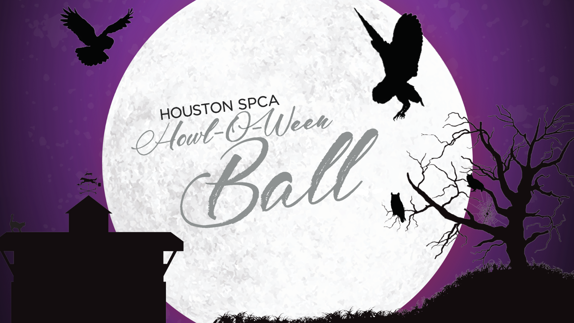 2024 HowlOWeen Ball Houston SPCA