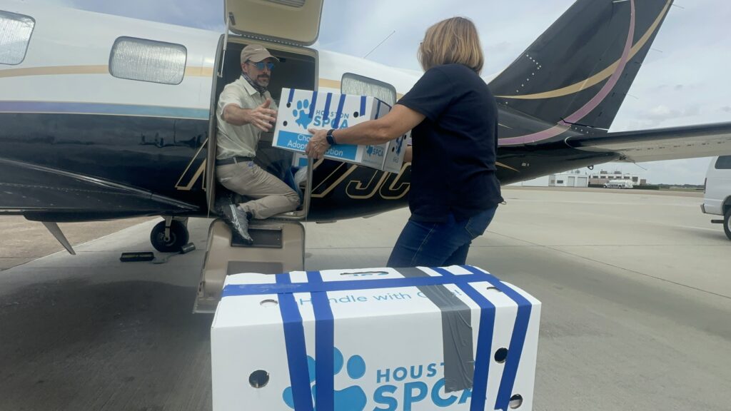 Executive Director of Wildlife Center loading up boxes of birds into plane