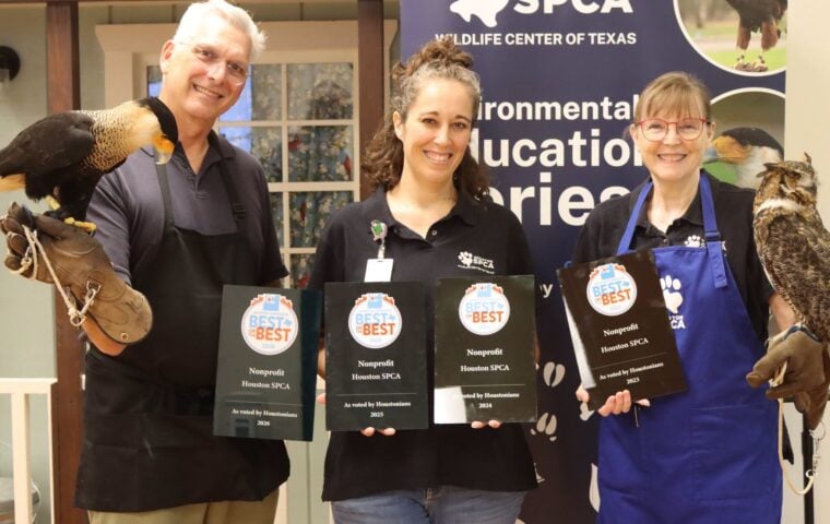 Houston SPCA Named Best Nonprofit in Best of the Best 20206